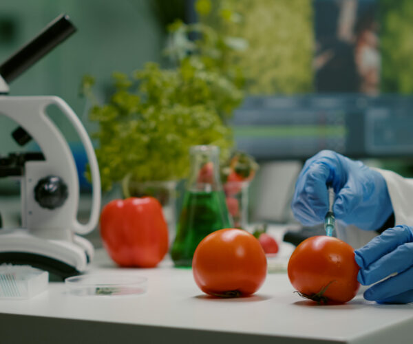 Closeup of chemist scientist injecting organic tomato with pesticides for gmo test. Biochemist working in pharmacology laboratory testing health food for microbiology expertise SSUCv3H4sIAAAAAAAACnRSTYvbMBD9K0bnKEi2LNm+le5uobQQ6KGHdVlGX7GIYwVZ3lJC/nvHTva4FzPzNPNm3htfiYY5GNJdSRjHZc4JcogT6diOJDdZl7bwPVWSbZGzIccUYNwyDdkME5wd6aZlHG87MmfIy+xmZMTMQHZHLN/yj1Gv1xUnHfllgpuMI9i1aMx/htm4cYTJxWUmt91H3UuMtoDJFk8pTKfPyv/sCByR7986GmcnNzrYNnklFZNM8RqoZRqoUNxT8AwjJ7zSttFKGORt2srXwkiqwQoquK8p4JeWvFSt0loqobCsZA1IDpJyXkoqhFS0YUpQpivLTVNzaCXBdU5/s0vnhxWw2BBXF96jgRHBCsFLCiZMx3tFzMNqN6qOy5QT6iA4bIzxAnpEhz22uR0ZYJ6xwD6A1WW8WzzfSaaYV8lrp0XzMeJVKVvB26ZuKslFVa4S7mcaAjaug9ZODM0p2Me6AfmJV4pxXxlaMa7QjwpoW3tPRdl6V0rlmG6RbLmMEWze1Pnk3CWcSMeRxMd03i6YYEYrNjUo/gJ5QPC563u+L37HdEIPisMQc5z7XrYIvjwXP0BH/Btxv4IWBzxzxkd8eoqT6/svrGnfGGc1KqrevrKm2TNe1rJp2v33wzdy+w8AAP//AwASDTzH2gIAAA==
