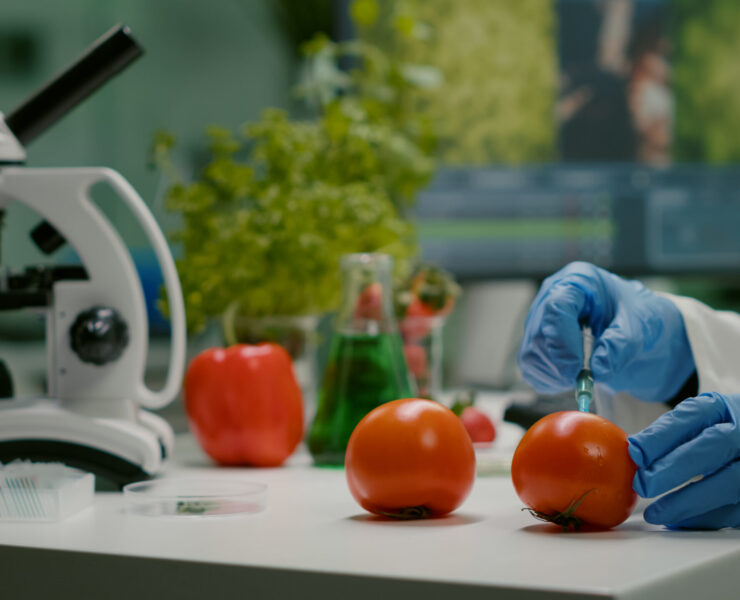 Closeup of chemist scientist injecting organic tomato with pesticides for gmo test. Biochemist working in pharmacology laboratory testing health food for microbiology expertise SSUCv3H4sIAAAAAAAACnRSTYvbMBD9K0bnKEi2LNm+le5uobQQ6KGHdVlGX7GIYwVZ3lJC/nvHTva4FzPzNPNm3htfiYY5GNJdSRjHZc4JcogT6diOJDdZl7bwPVWSbZGzIccUYNwyDdkME5wd6aZlHG87MmfIy+xmZMTMQHZHLN/yj1Gv1xUnHfllgpuMI9i1aMx/htm4cYTJxWUmt91H3UuMtoDJFk8pTKfPyv/sCByR7986GmcnNzrYNnklFZNM8RqoZRqoUNxT8AwjJ7zSttFKGORt2srXwkiqwQoquK8p4JeWvFSt0loqobCsZA1IDpJyXkoqhFS0YUpQpivLTVNzaCXBdU5/s0vnhxWw2BBXF96jgRHBCsFLCiZMx3tFzMNqN6qOy5QT6iA4bIzxAnpEhz22uR0ZYJ6xwD6A1WW8WzzfSaaYV8lrp0XzMeJVKVvB26ZuKslFVa4S7mcaAjaug9ZODM0p2Me6AfmJV4pxXxlaMa7QjwpoW3tPRdl6V0rlmG6RbLmMEWze1Pnk3CWcSMeRxMd03i6YYEYrNjUo/gJ5QPC563u+L37HdEIPisMQc5z7XrYIvjwXP0BH/Btxv4IWBzxzxkd8eoqT6/svrGnfGGc1KqrevrKm2TNe1rJp2v33wzdy+w8AAP//AwASDTzH2gIAAA==