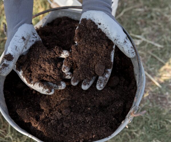 compost-still-life-concept