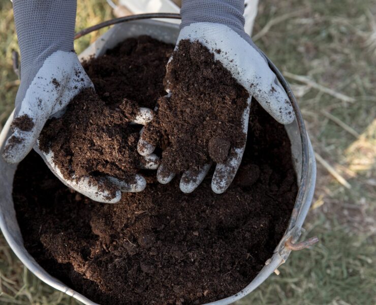 compost-still-life-concept